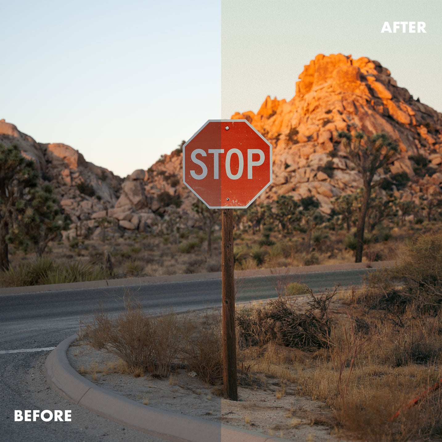 Master Bundle Lightroom Presets