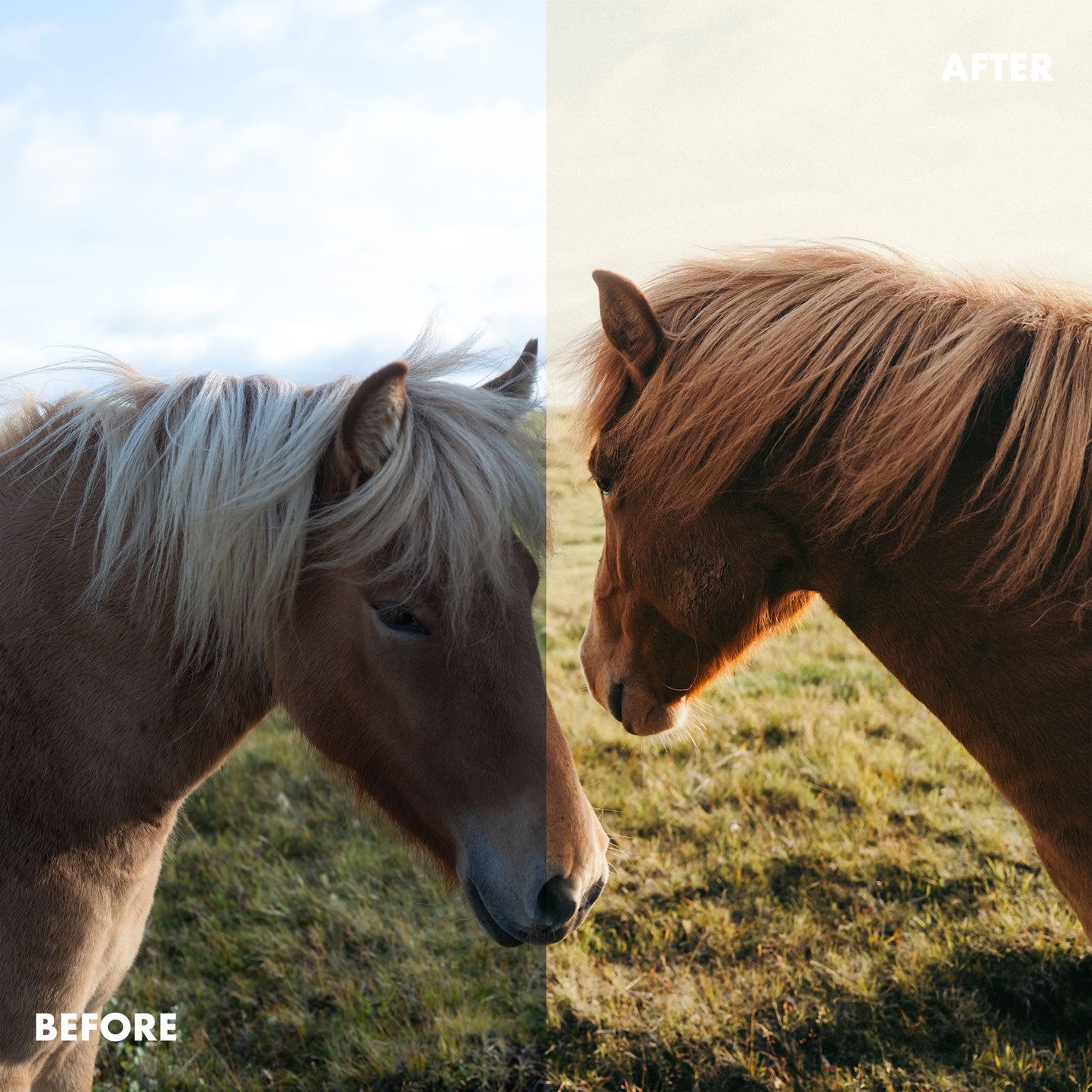 Master Bundle Lightroom Presets