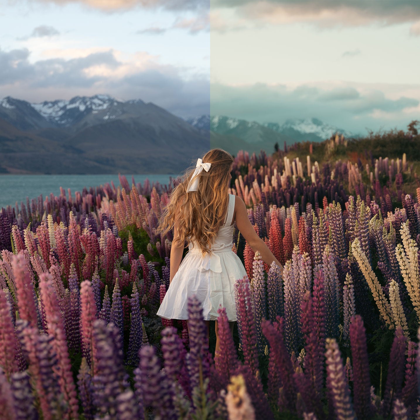 Master Bundle Lightroom Presets