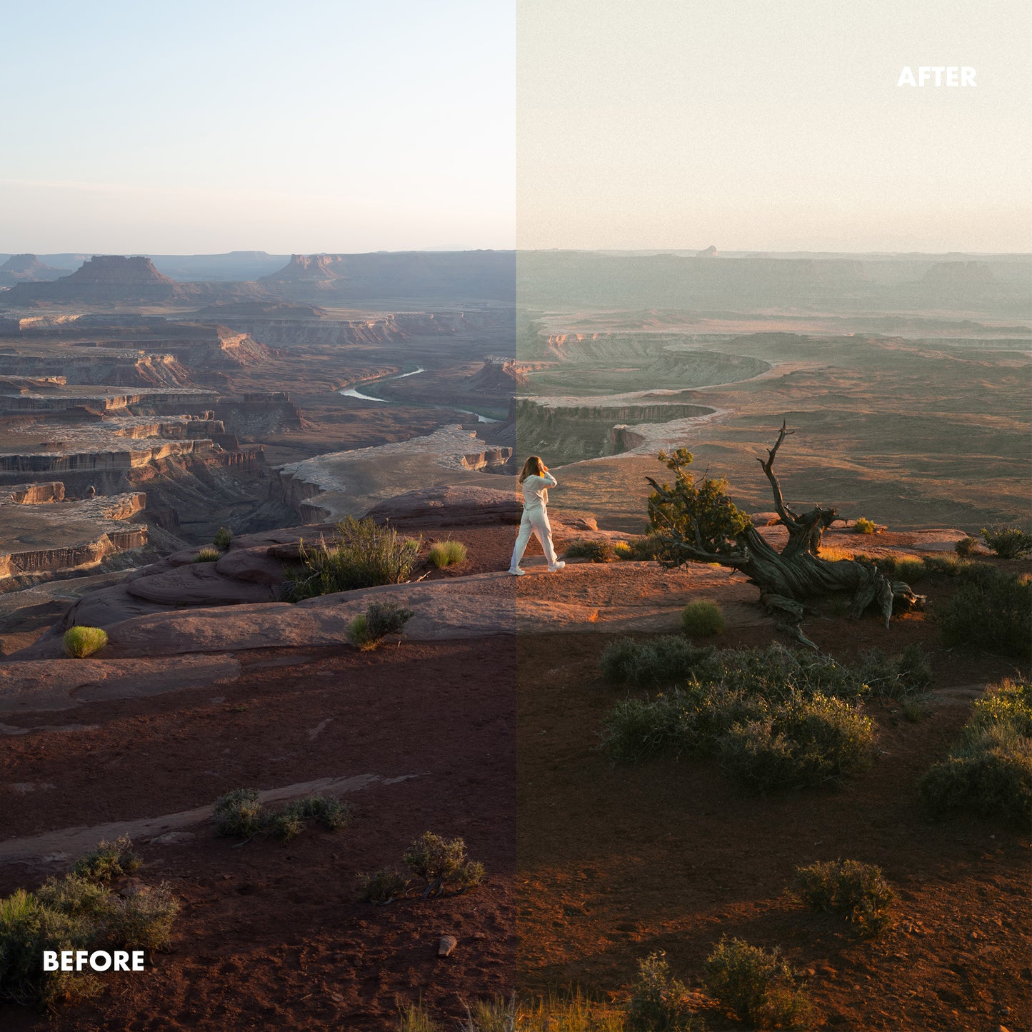 Master Bundle Lightroom Presets